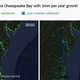 Wetlands in the Chesapeake Bay in 2030 and 2100 with 3mm per year growth.